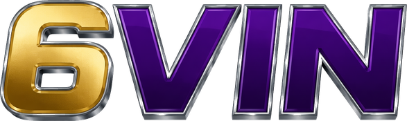 6vin